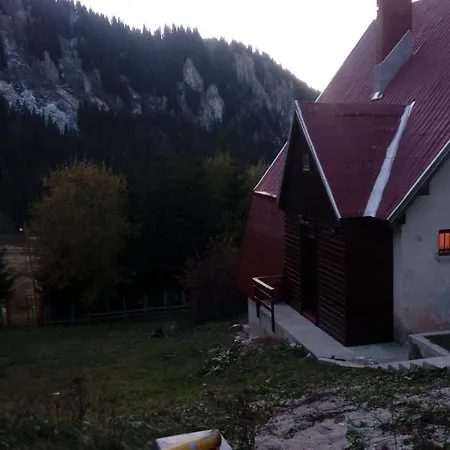Pine Woods Ferienhaus