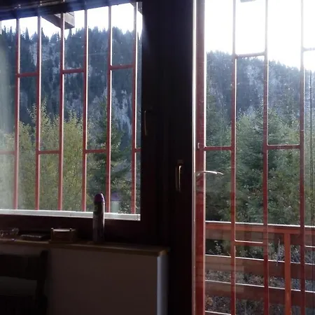 Ferienhaus Pine Woods Trnovo