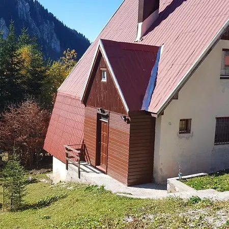 Ferienhaus Pine Woods *